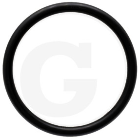 O-Ring Granit 5450734303031