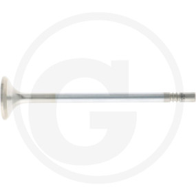 Auslassventil Granit 11011296