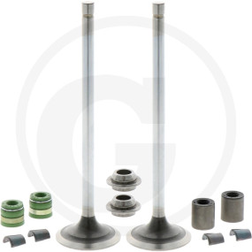 Einlassventil-Satz Granit 11044570