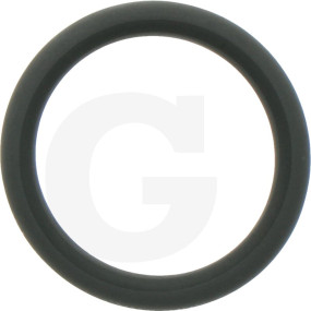 O-Ring Granit 11317856