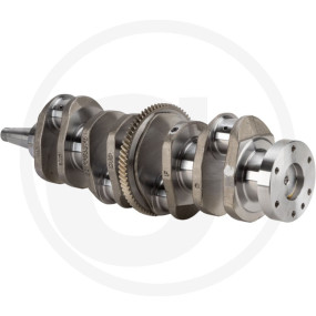 Kurbelwelle Granit 11351585