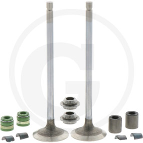 Auslassventil-Satz Granit 11410741