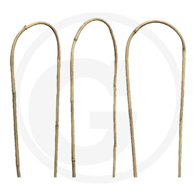 Bambus Rankhilfe (3Stk.) U-Form W8-10Mm Granit 11418236