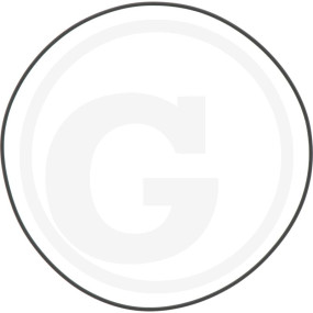 O-Ring Granit 11418388