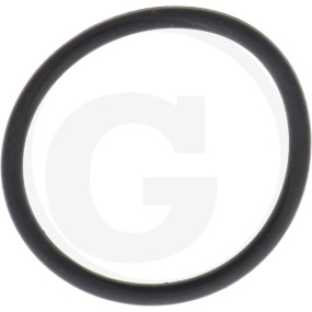 Dichtung Ablassschraube Granit 11560551