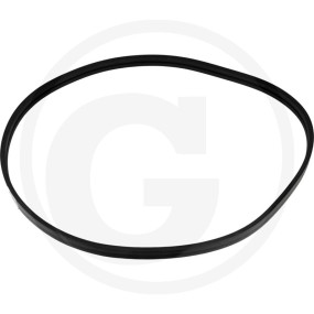 Keilriemen Granit 11647485