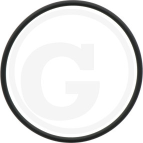 O-Ring ? 117,5 X 5,34 Mm, für 4'' Granit