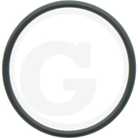 O-Ring Nbr 2'' Granit