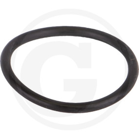 2'' Lsq Plug O-Ring Granit 11931318