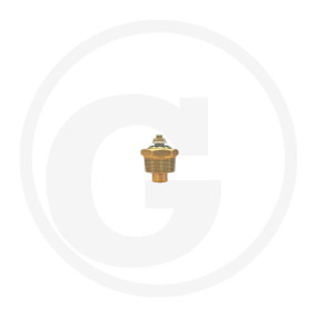 Temperaturgeber Granit 11979096