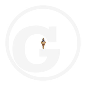 Temperaturgeber Granit 11996441