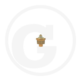 Temperaturgeber Granit 11997224