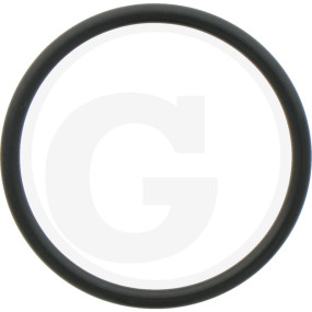 O-Ring Granit
