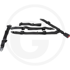 5-Punktgurt Granit 12261710