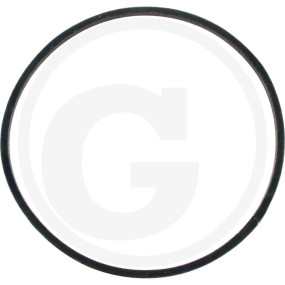 Riemen Granit 12268185