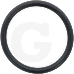O-Ring Granit