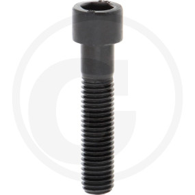 Din912 12.9 Zylinderschr M 12X55 Granit 12287075