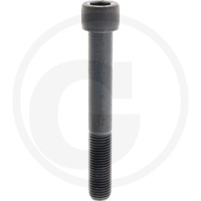 Din912 12.9 Zylinderschr M 22X160 Granit 12287347