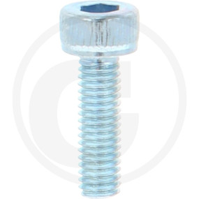 Din912 10.9 Zylinderschr Vz M 3X10 Granit 12289198