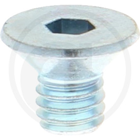 Iso10642 10.9 Senkschr I6Kant Vz M4X6 Granit 12303271