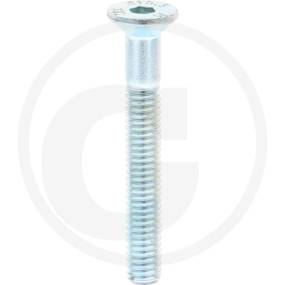 Iso10642 10.9 Senkschr I6Kant Vz M4X30 Granit 12322082