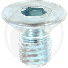 Iso10642 10.9 Senkschr I6Kant Vz M6X10 Granit 12322083