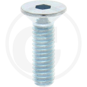 Iso10642 10.9 Senkschr I6Kant Vz M4X14 Granit 12324984