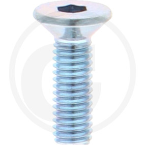 Iso10642 10.9 Senkschr I6Kant Vz M3X10 Granit 12324988