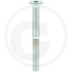 Iso10642 10.9 Senkschr I6Kant Vz M6X55 Granit 12324990