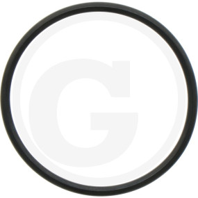 O-Ring Granit