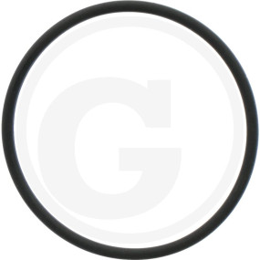 O-Ring Granit