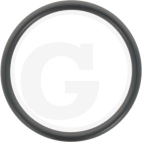 O-Ring Granit