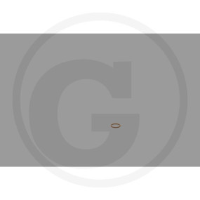 O-Ring Granit