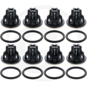In/Outlet Valve Kit ''Delta 100''(Kit 64 Granit 19310639