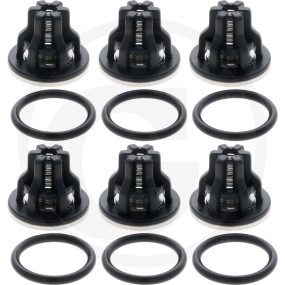 In/Outlet Valve Kit ''Delta 75'' (Kit 64 Granit 19315144