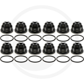 In/Outlet Valve Kit ''Zeta 300'' (Kit636 Granit 19325242