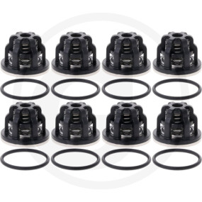 In/Outlet Valve Kit ''Zeta 200'' (Kit638 Granit 19336476