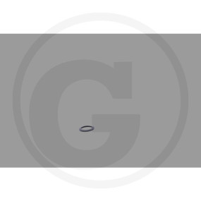 Schnorrscheibe Granit 19363677
