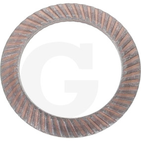 Schnorrscheibe Granit 19364443