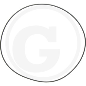 O-Ring 4950 D.240,9X3,53 Granit