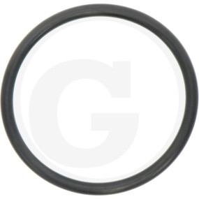 O-Ring 50 X 4 Granit