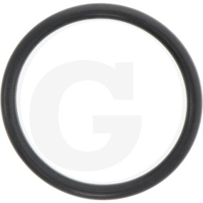 O-Ring 36 X 3,5 Granit