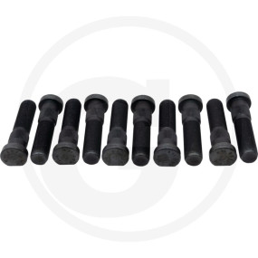 Radbolzen 10Stck M22X1,5 L=96 9Rc22L2-10 Granit