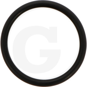 O-Ring Granit