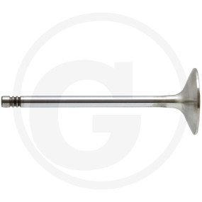 Einlassventil Granit 38004559