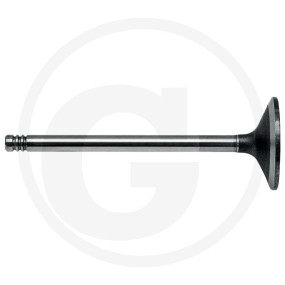 Einlassventil Granit 38013027