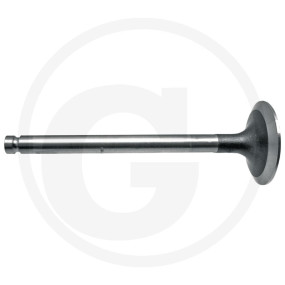 Auslassventil Granit 38015522