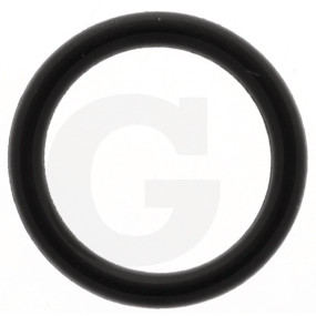 O-Ring 15,3X2,4 Granit