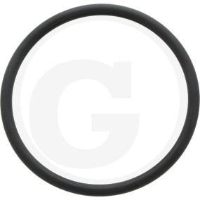 O-Ring ? 75,6X5,34 Granit