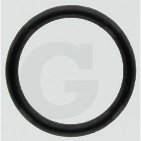 O-Ring Granit